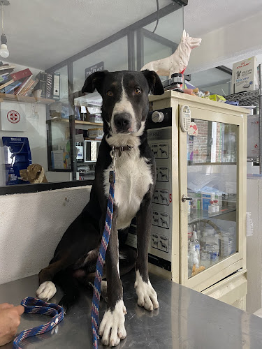 Veterinaria ZIP
