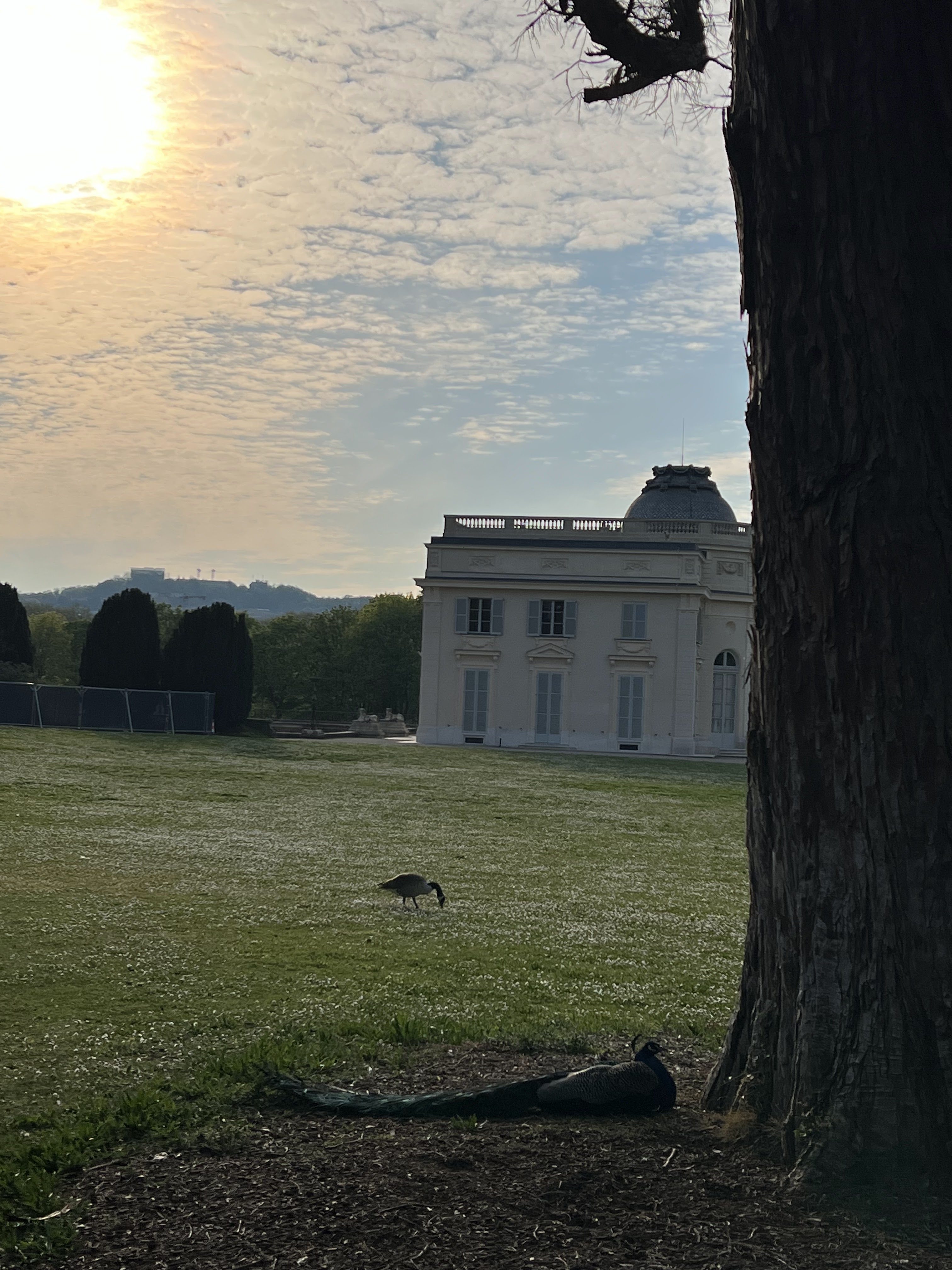 Photo n° 14 de l'avis de JE.e fait le 31/08/2023 à 06:00