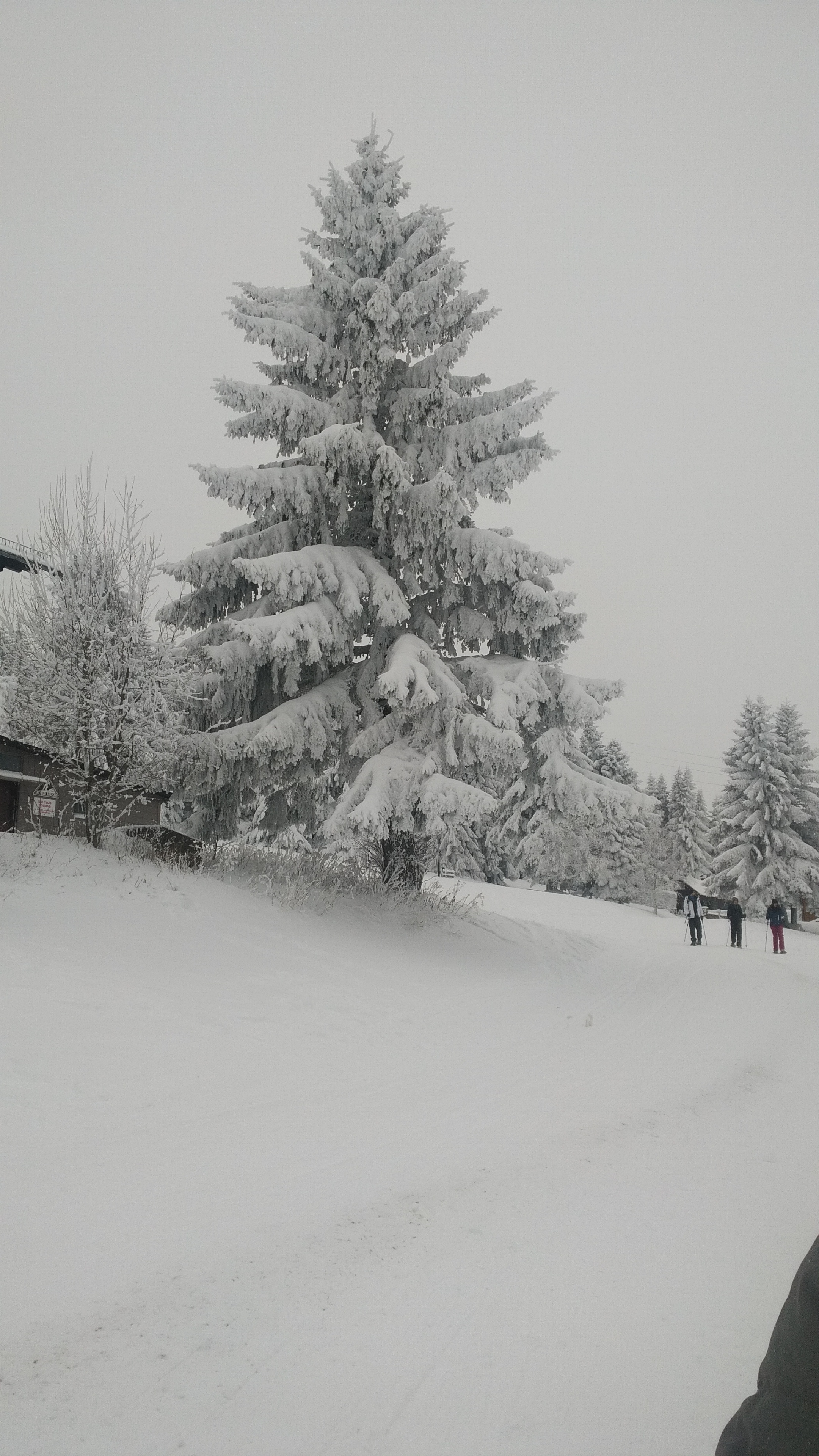 Photo n° 2 de l'avis de INFO.D fait le 14/09/2017 à 08:04