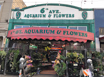 6th Avenue Aquarium - Photo 2 - Car repair in San Francisco, CA, San Francisco