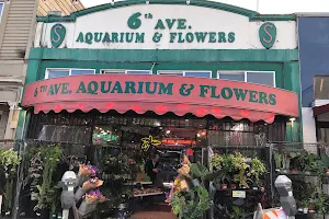 6th Avenue Aquarium image