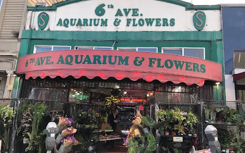 6th Avenue Aquarium image