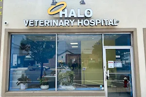 Halo Veterinary Hospital image