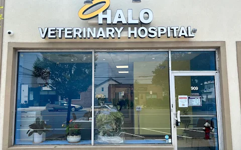 Halo Veterinary Hospital image