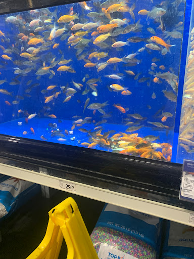 Pet Supply Store «PetSmart», reviews and photos, 8014 Old Carriage Ct, Shakopee, MN 55379, USA