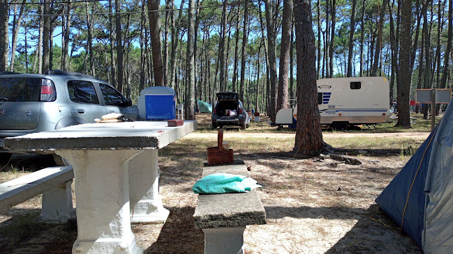 Opiniones de Camping AFGAP en Progreso - Camping