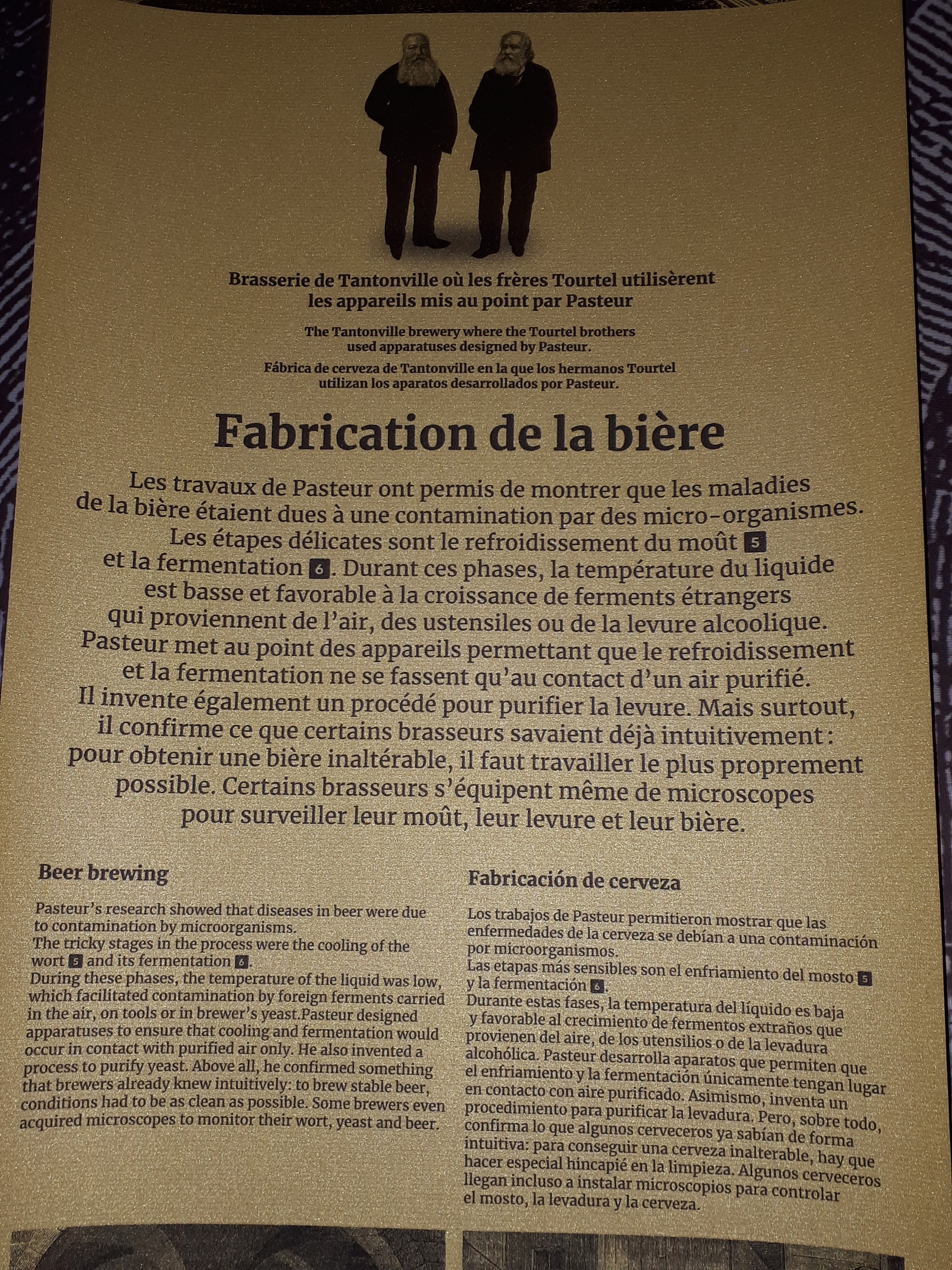Photo n° 2 de l'avis de Églantine.i fait le 02/03/2019 à 21:30