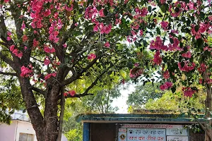 District Hospital Ujjain image