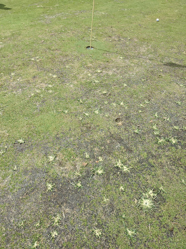 Golf Club «Mays Landing Country Club», reviews and photos, 1855 Cates Rd, Mays Landing, NJ 08330, USA