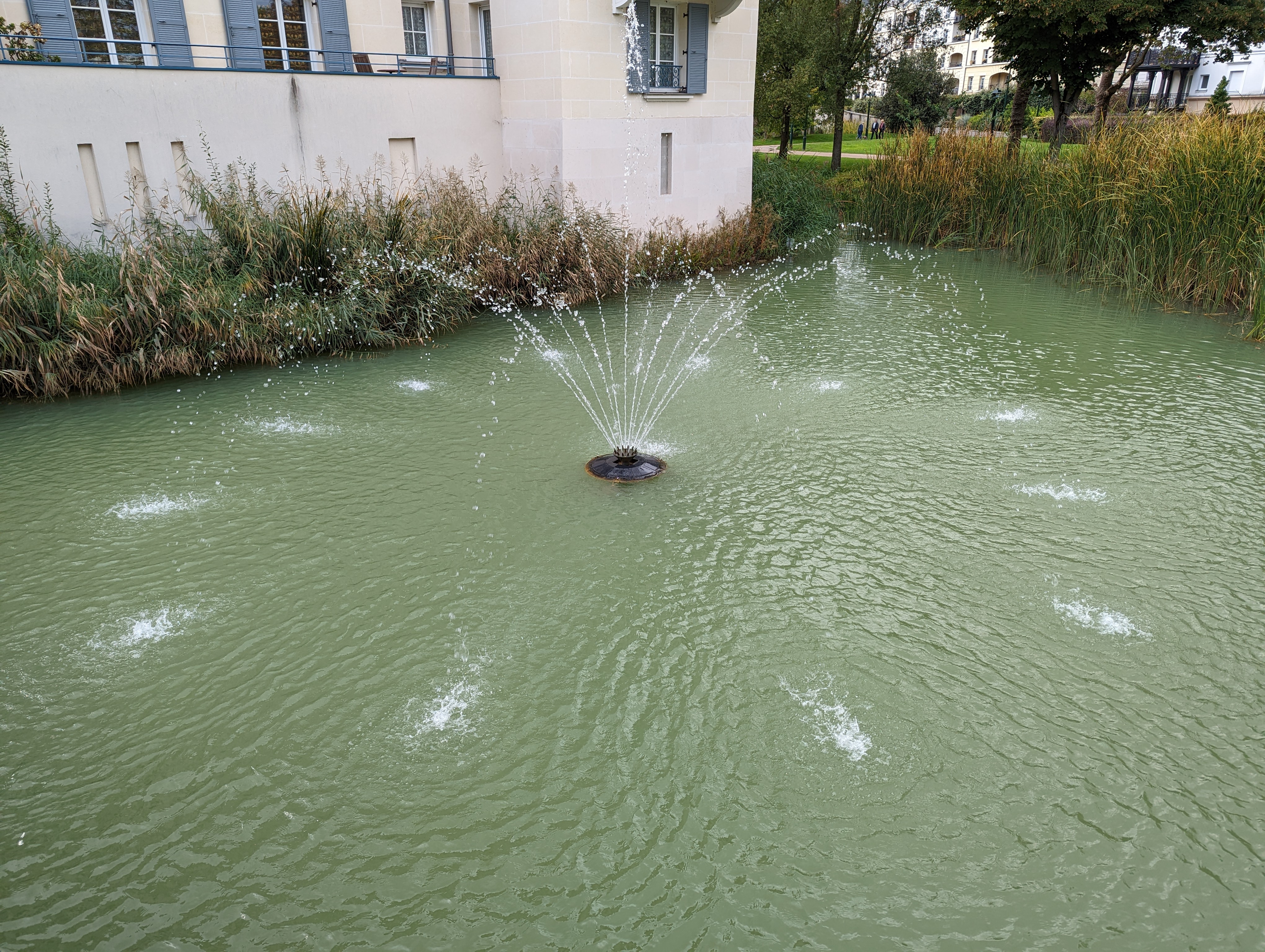 Photo n° 11 de l'avis de Virgile.o fait le 24/09/2022 à 16:40