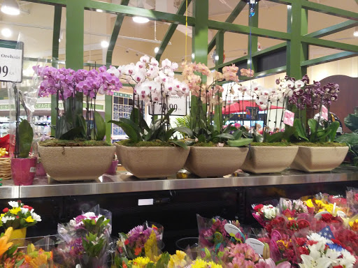 Grocery Store «Lowes Foods on Strickland Road», reviews and photos, 9600 Strickland Rd, Raleigh, NC 27615, USA