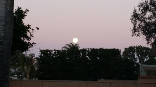 Park «Oak Knoll Park», reviews and photos, 9600 Graham St, Cypress, CA 90630, USA