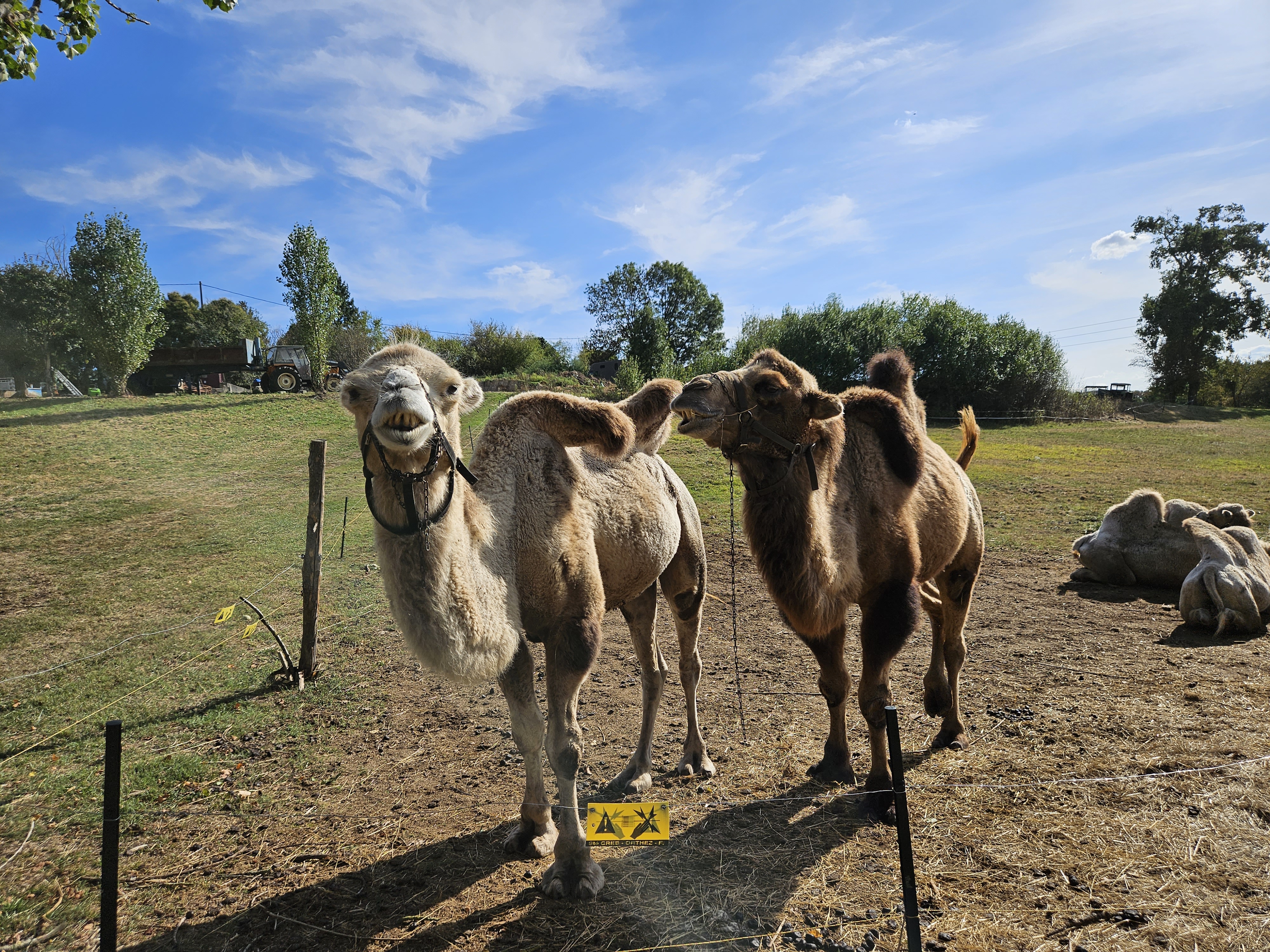 Photo n° 8 de l'avis de Emmanuelle.a fait le 22/09/2023 à 14:59