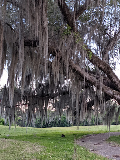 Stadium «Bobby Bowden Field at Doak Campbell Stadium», reviews and photos, 403 Stadium Dr, Tallahassee, FL 32304, USA