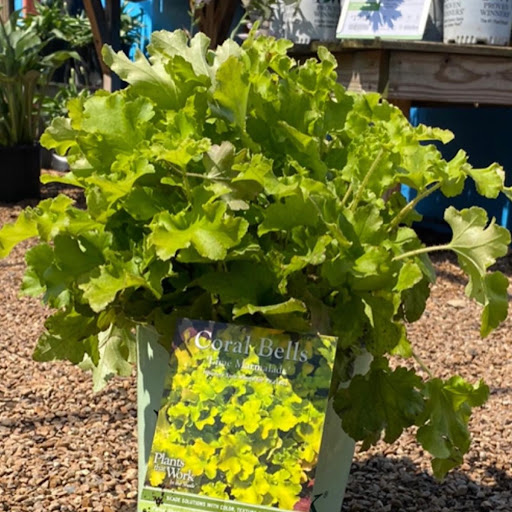 Landscaping Supply Store «Kirkwood Gardens», reviews and photos, 2701 Barrett Station Rd, Ballwin, MO 63021, USA