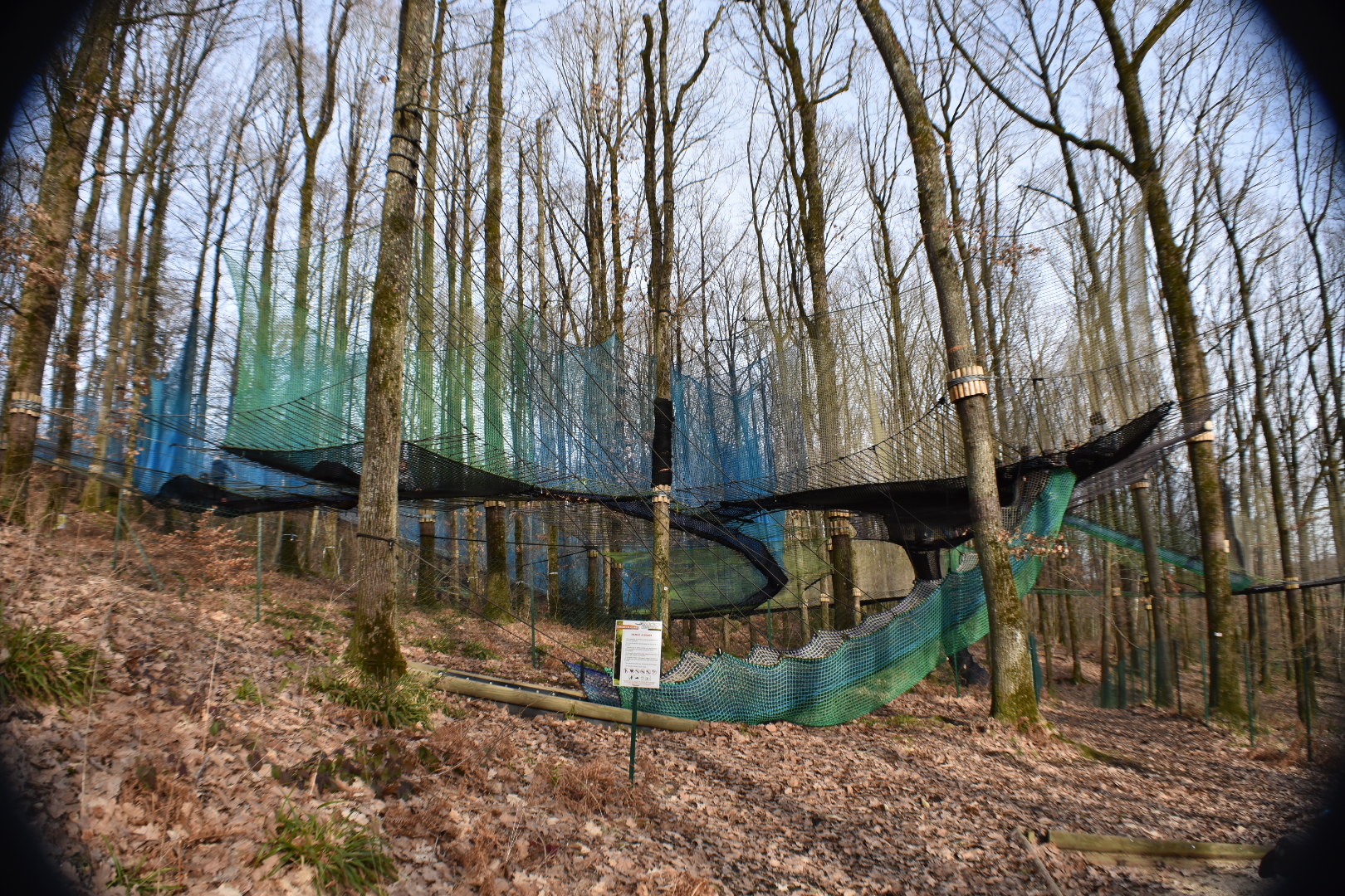 Photo n° 7 de l'avis de Littleme.8 fait le 20/02/2019 à 03:38