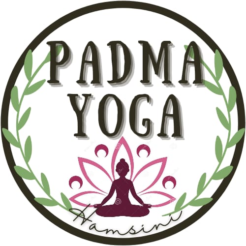 Opiniones de Padma Yoga Hamsini en Arica - Centro de yoga