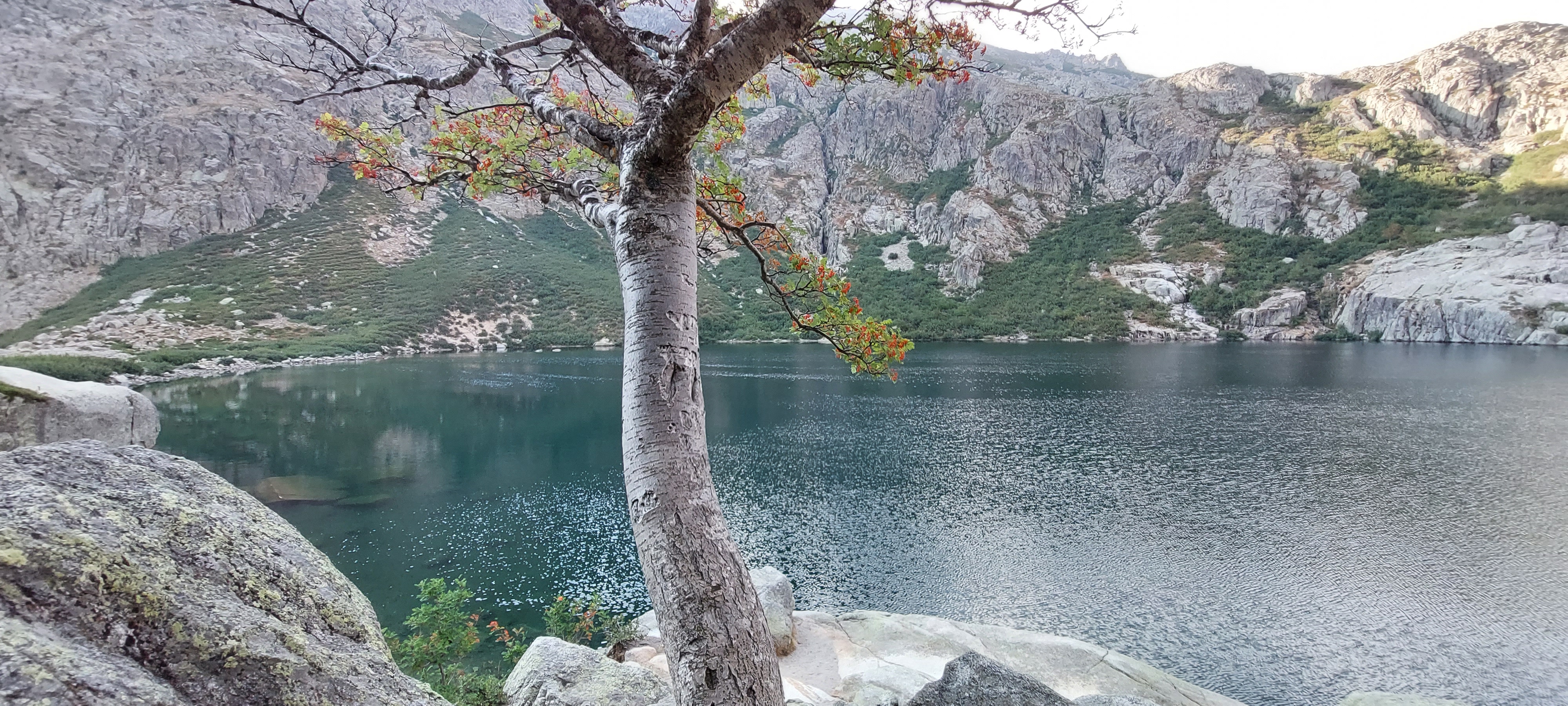 Photo n° 4 de l'avis de Frédéric.u fait le 11/08/2022 à 17:12