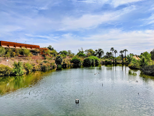 Zoo «Phoenix Zoo», reviews and photos, 455 N Galvin Pkwy, Phoenix, AZ 85008, USA