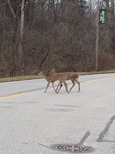 Community Center «Garfield Park Nature Center», reviews and photos, 11350 Broadway Ave, Garfield Heights, OH 44125, USA