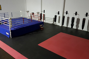 Biris Boxing Gym image