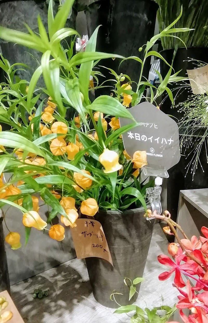 Hibiya Kadan Style 相鉄ライフ三ツ境店 神奈川県横浜市瀬谷区三ツ境 花屋 グルコミ