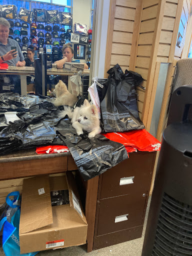 Shoe Store «Ossine Shoes & Gifts», reviews and photos, 7576 S Redwood Rd, West Jordan, UT 84084, USA