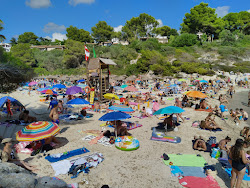 Platja Cala Anguila'in fotoğrafı küçük koy ile birlikte