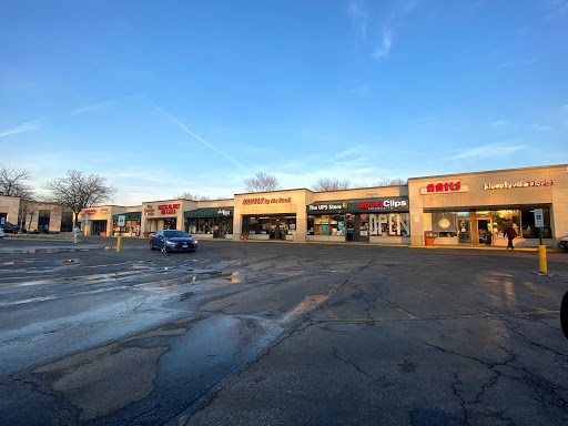 Shipping and Mailing Service «The UPS Store», reviews and photos, 872 S Milwaukee Ave, Libertyville, IL 60048, USA