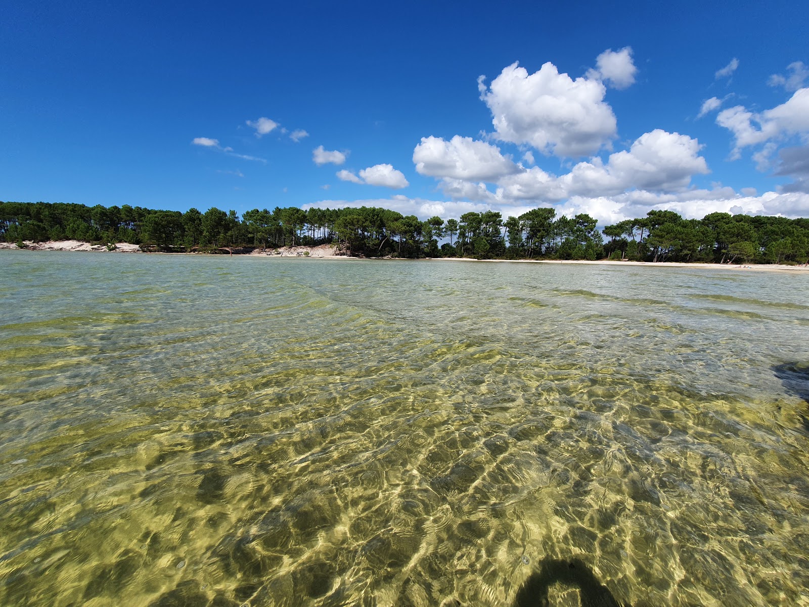Plage du lac de Sanguinet'in fotoğrafı doğal alan içinde bulunmaktadır