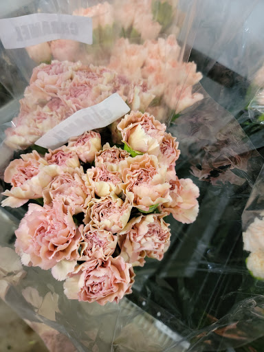 Florist «Botanica Wholesale Florist», reviews and photos, 3208 International Pl, Irving, TX 75062, USA