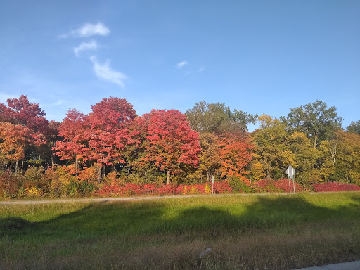 Beaux parcs de Montreal