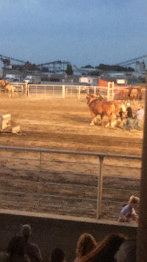 Insurance Agency «Tammy Sluder - State Farm Insurance Agent», reviews and photos