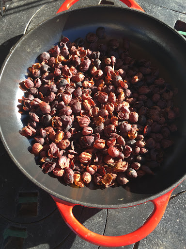 Coffee Shop «Brews Brothers Coffee», reviews and photos, 4023 E Ramsey Rd, Sierra Vista, AZ 85650, USA