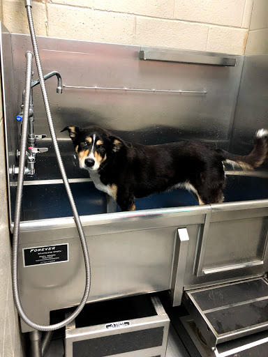 Pet Supply Store «Chow Hound Pet Supplies», reviews and photos, 5265 Northland Dr NE, Grand Rapids, MI 49525, USA