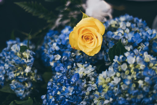 Event Venue «Studio D2D», reviews and photos, 401 Hall St SW, Grand Rapids, MI 49503, USA