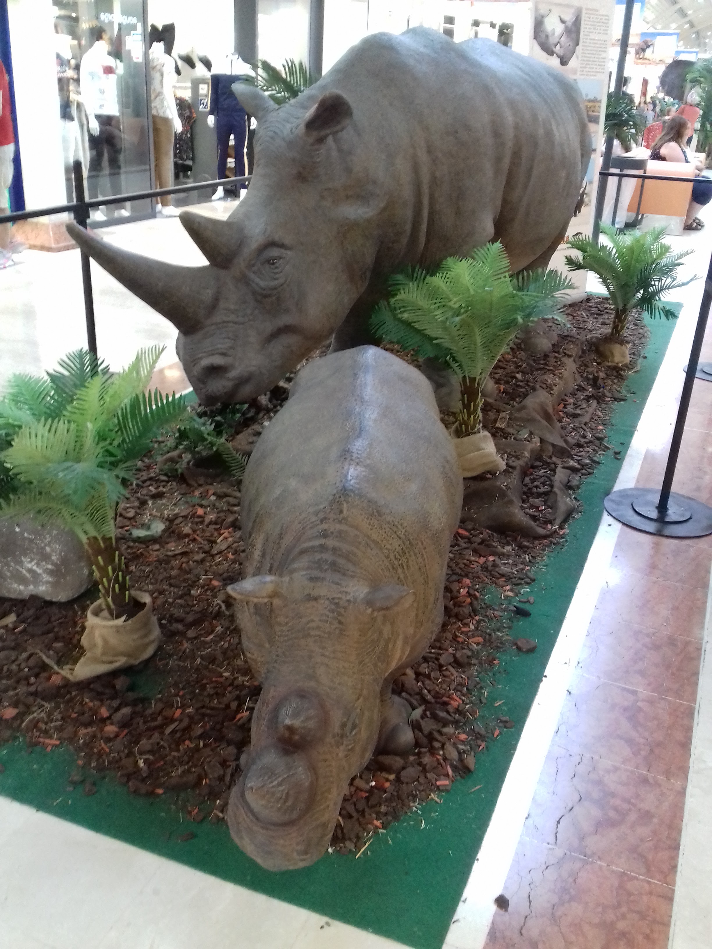 Photo n° 4 de l'avis de Emilie.i fait le 07/09/2019 à 07:51