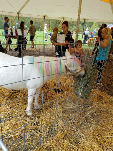 Ski Resort «Shawnee Mountain Ski Area», reviews and photos, 401 Hollow Rd, East Stroudsburg, PA 18301, USA