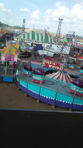 Insurance Company «Alexandria Mega Shelter», reviews and photos