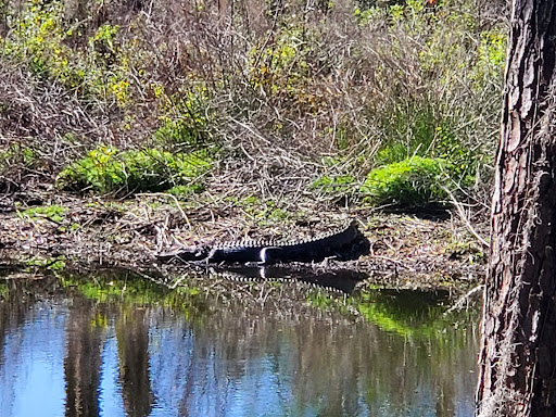 Park «Cypress Wetlands», reviews and photos, 1700 Paris Ave, Port Royal, SC 29935, USA