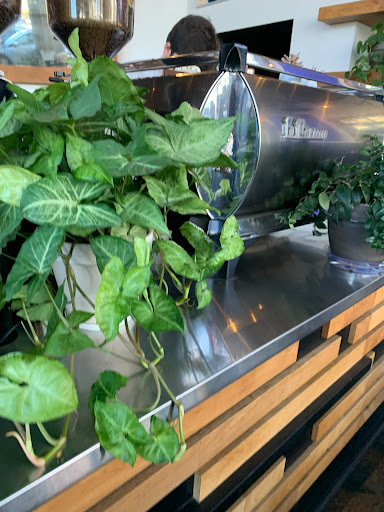 Coffee Shop «Zoka Coffee Roasters and Tea Company», reviews and photos, 129 Central Way, Kirkland, WA 98033, USA