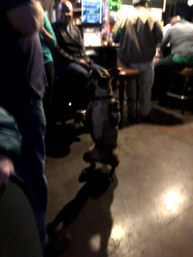 Cocktail Bar «Quarter Note Bar & Grill», reviews and photos, 1214 Apollo Way, Sunnyvale, CA 94085, USA