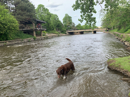 Computer Store «Apple Main Place», reviews and photos, 120 W Jefferson Ave, Naperville, IL 60540, USA