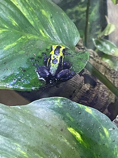 Pet Store «Birds & Beasts Pet Shop», reviews and photos, 35 Berkshire Dr # 18, Crystal Lake, IL 60014, USA