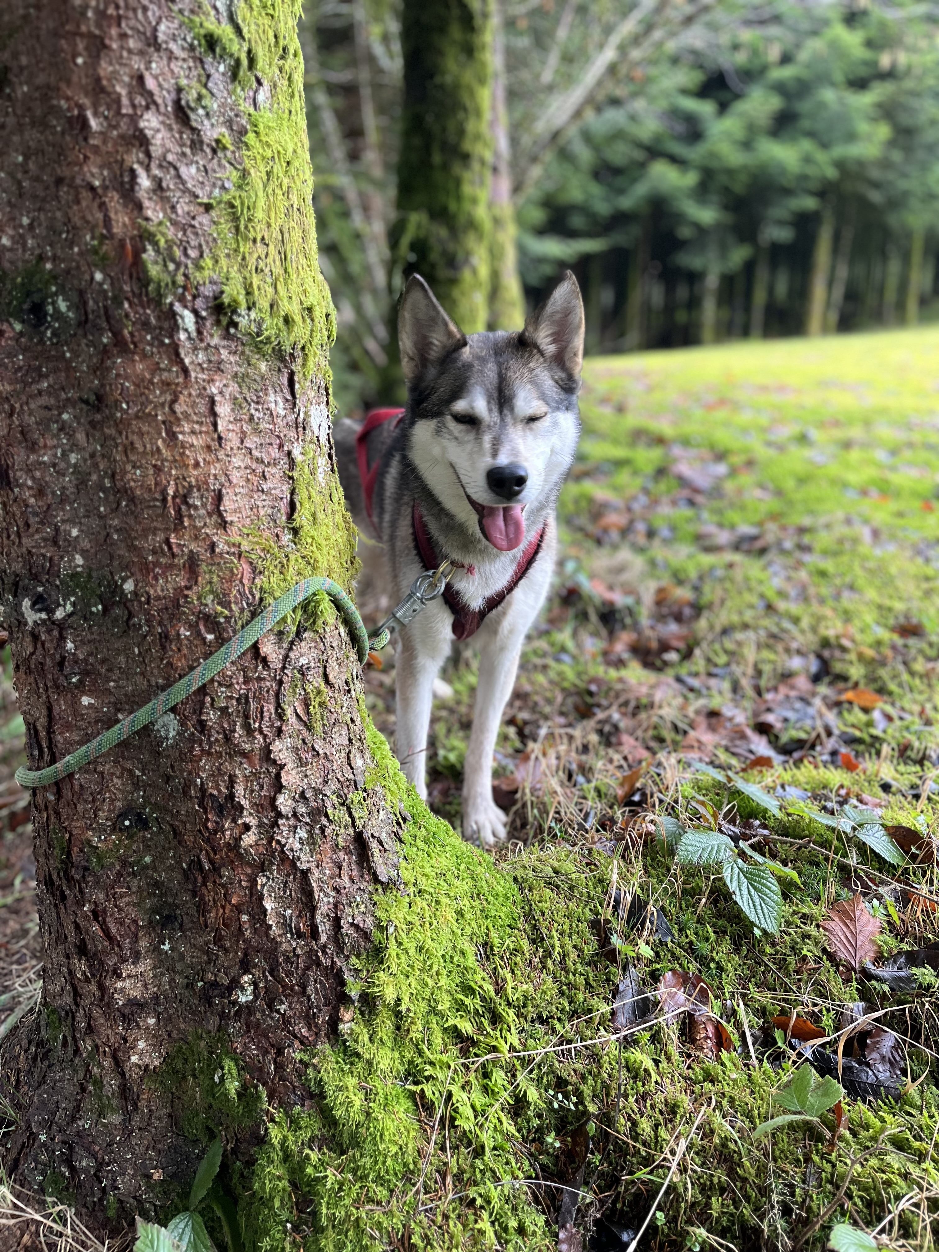 Photo n° 1 de l'avis de Marie.A fait le 23/02/2024 à 17:09