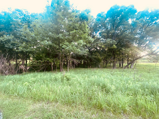 Grasslands Trailhead