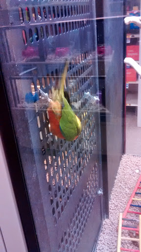 Pet Supply Store «PetSmart», reviews and photos, 2818 S Louise Ave, Sioux Falls, SD 57106, USA