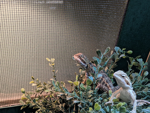 Pet Supply Store «Pet Supplies Plus», reviews and photos, 911 N Cable Rd a, Lima, OH 45805, USA