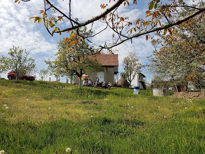 Photos of Spomen park Vukosavci