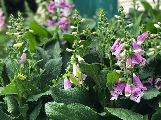 Florist «Yard Works», reviews and photos, 1309 Warwick Ave, Warwick, RI 02888, USA